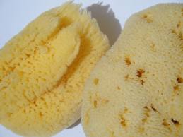 Natural Sea Sponges